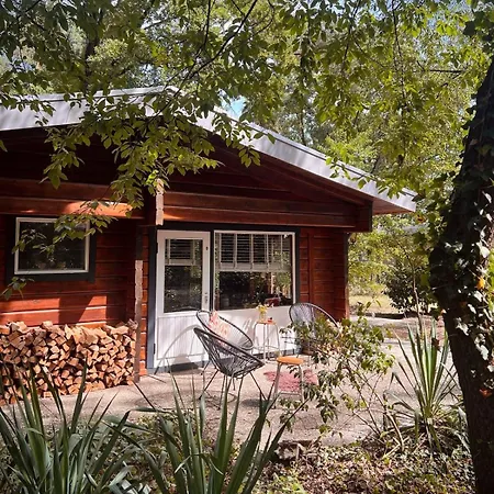 Holiday home De Boskeet A Rustic Forest Cottage, Private Forest Garden And Dogs Welcome
