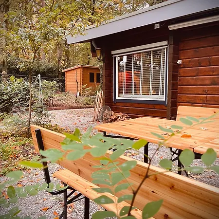 De Boskeet A Rustic Forest Cottage, Private Forest Garden And Dogs Welcome *