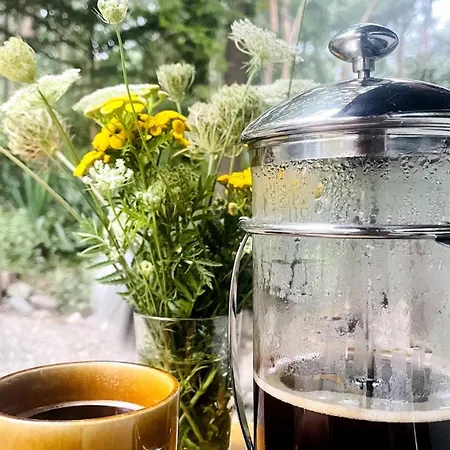 De Boskeet A Rustic Forest Cottage, Private Forest Garden And Dogs Welcome * Meijel