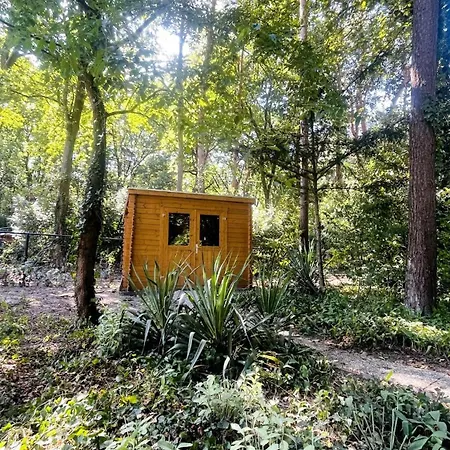 De Boskeet A Rustic Forest Cottage, Private Forest Garden And Dogs Welcome Holiday home *