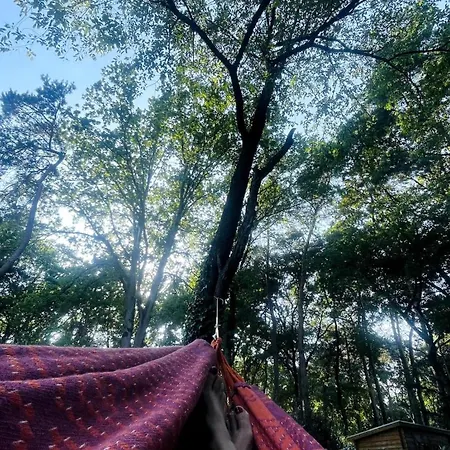 De Boskeet A Rustic Forest Cottage, Private Forest Garden And Dogs Welcome Holiday home