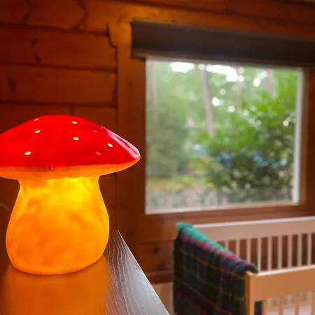 De Boskeet A Rustic Forest Cottage, Private Forest Garden And Dogs Welcome *