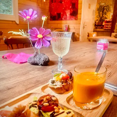 De Boskeet A Rustic Forest Cottage, Private Forest Garden And Dogs Welcome Holiday home *