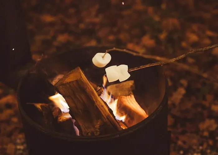 De Boskeet A Rustic Forest Cottage, Private Forest Garden And Dogs Welcome