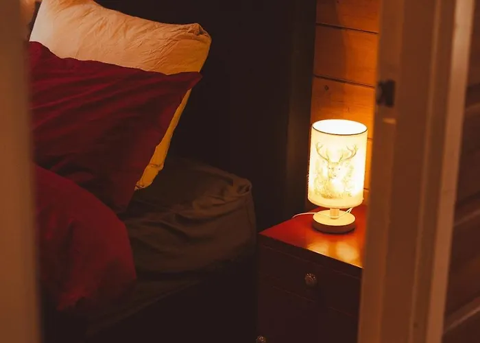 Hébergement de vacances De Boskeet A Rustic Forest Cottage, Private Forest Garden And Dogs Welcome *