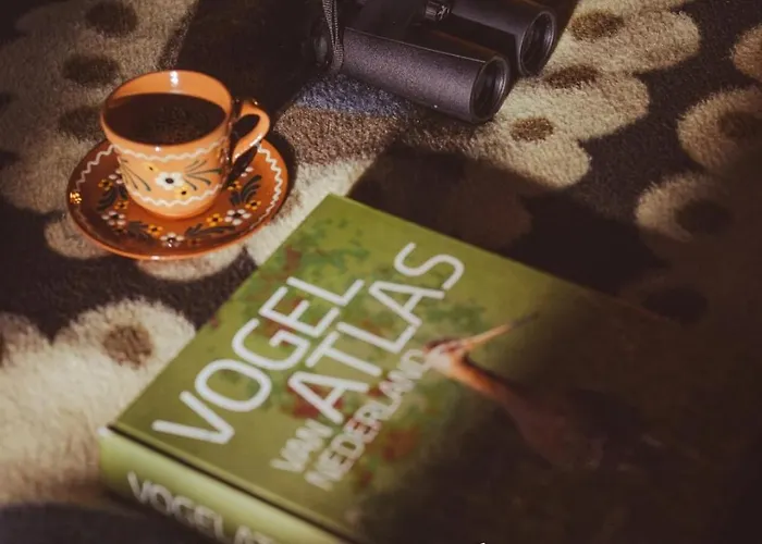 Holiday home De Boskeet A Rustic Forest Cottage, Private Forest Garden And Dogs Welcome