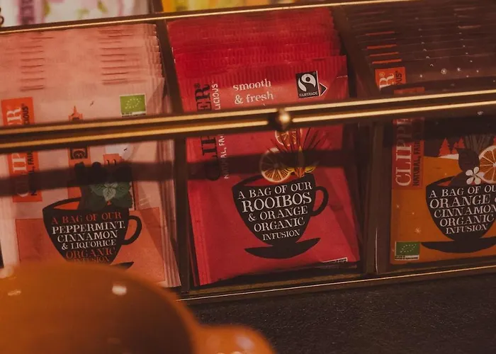 De Boskeet A Rustic Forest Cottage, Private Forest Garden And Dogs Welcome Hébergement de vacances Meijel