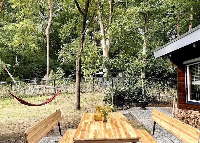 Hébergement de vacances De Boskeet A Rustic Forest Cottage, Private Forest Garden And Dogs Welcome