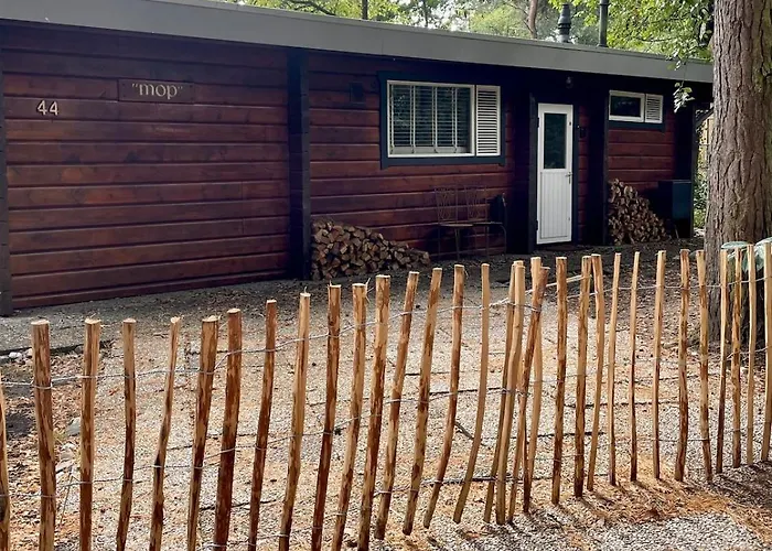 De Boskeet A Rustic Forest Cottage, Private Forest Garden And Dogs Welcome Holiday home *