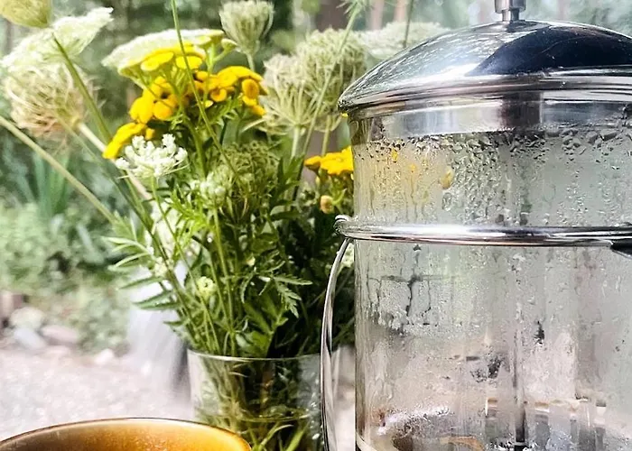 De Boskeet A Rustic Forest Cottage, Private Forest Garden And Dogs Welcome * Meijel