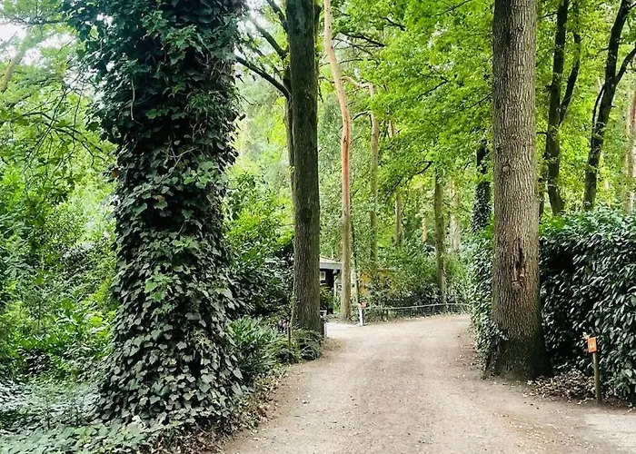 De Boskeet A Rustic Forest Cottage, Private Forest Garden And Dogs Welcome * Meijel