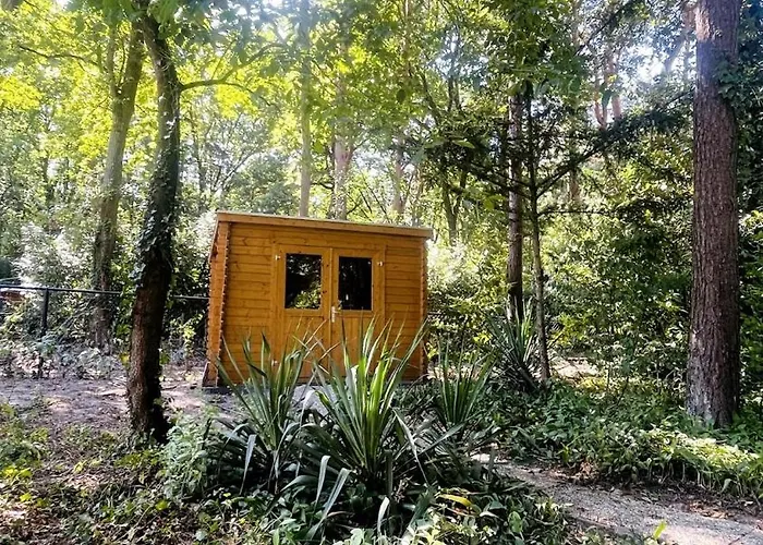De Boskeet A Rustic Forest Cottage, Private Forest Garden And Dogs Welcome Hébergement de vacances *