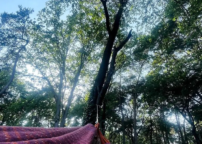 De Boskeet A Rustic Forest Cottage, Private Forest Garden And Dogs Welcome Hébergement de vacances