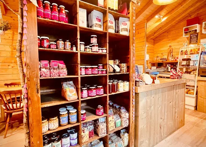 De Boskeet A Rustic Forest Cottage, Private Forest Garden And Dogs Welcome Hébergement de vacances *