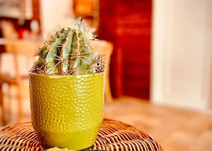 De Boskeet A Rustic Forest Cottage, Private Forest Garden And Dogs Welcome