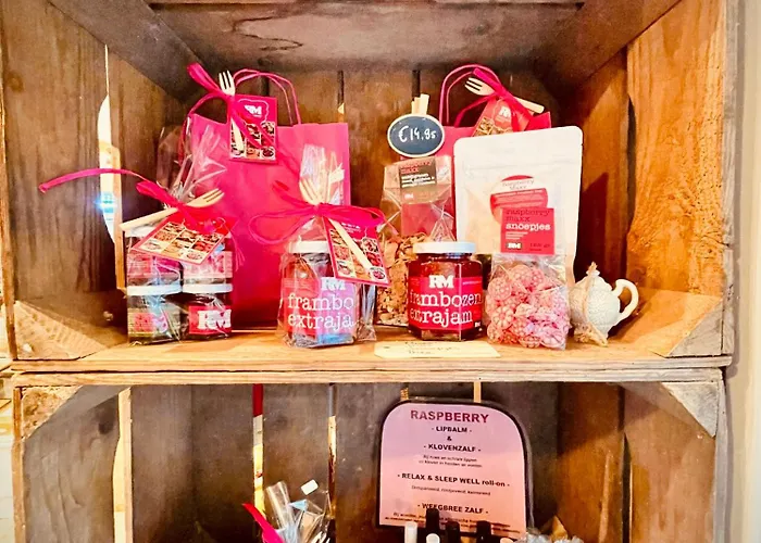 Holiday home De Boskeet A Rustic Forest Cottage, Private Forest Garden And Dogs Welcome *