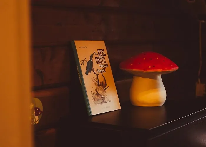 De Boskeet A Rustic Forest Cottage, Private Forest Garden And Dogs Welcome *