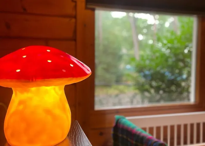 De Boskeet A Rustic Forest Cottage, Private Forest Garden And Dogs Welcome *