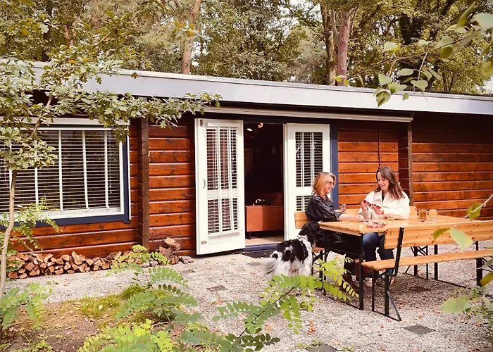 De Boskeet A Rustic Forest Cottage, Private Forest Garden And Dogs Welcome Hébergement de vacances