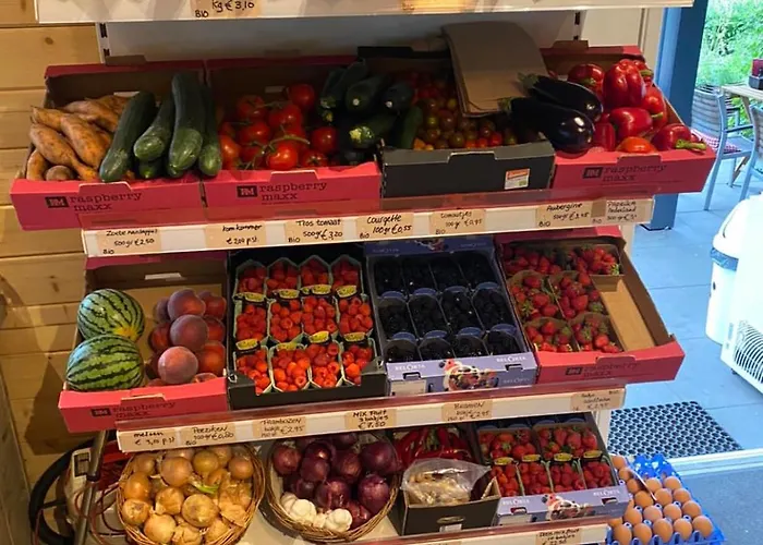 De Boskeet A Rustic Forest Cottage, Private Forest Garden And Dogs Welcome Meijel